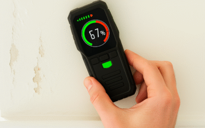Which Moisture Meter should you get?